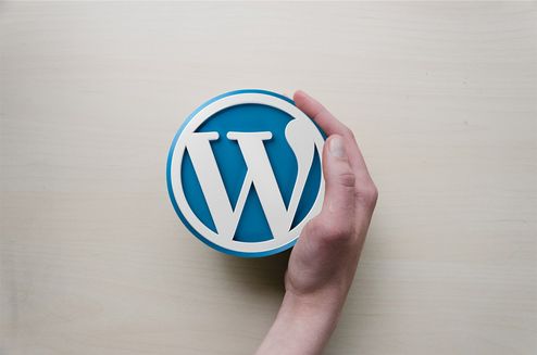 Perkembangan Komunitas WordPress Indonesia